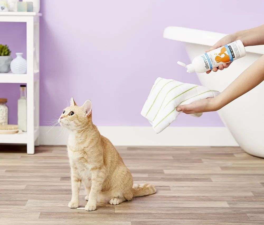 国内外巨头相继入局,宠物洗护品成为新的掘金赛道? 国内外巨头相继入局,宠物洗护品成为新的掘金赛道?