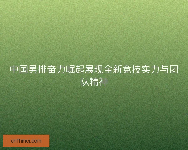 中国男排奋力崛起展现全新竞技实力与团队精神