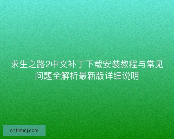 求生之路2中文补丁下载安装教程与常见问题全解析最新版详细说明